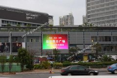 风雨五载屡建功，益田假日见真屏