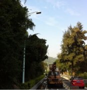ag尊龙凯时首页可调光LED路灯进军深圳